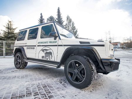 Geländewagen mit individueller Werbebeschriftung für das GAYKO Artenschutz Projekt.